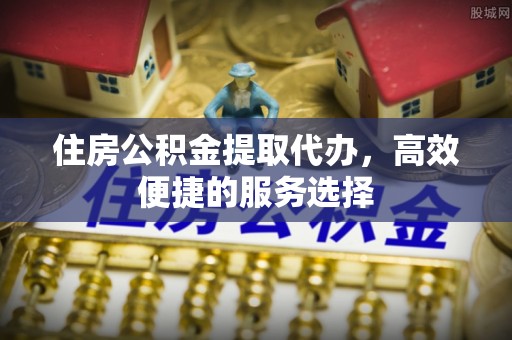 连南住房公积金提取代办，高效便捷的服务选择