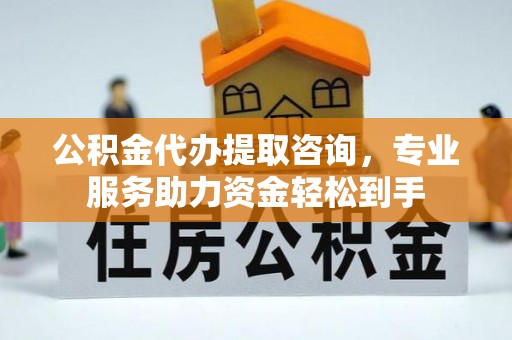 连南公积金代办提取咨询，专业服务助力资金轻松到手