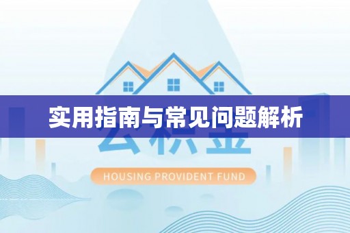 连南实用指南与常见问题解析