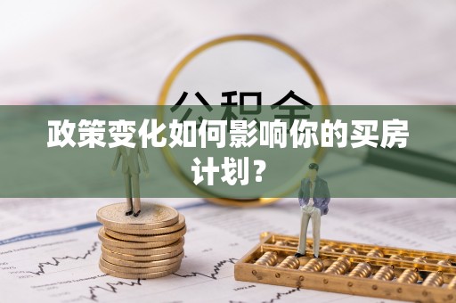 连南政策变化如何影响你的买房计划？