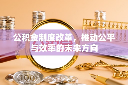 连南公积金制度改革，推动公平与效率的未来方向