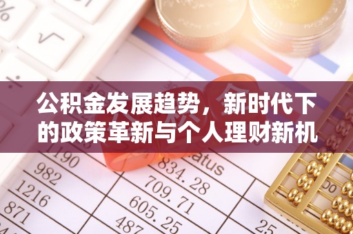 连南公积金发展趋势，新时代下的政策革新与个人理财新机遇