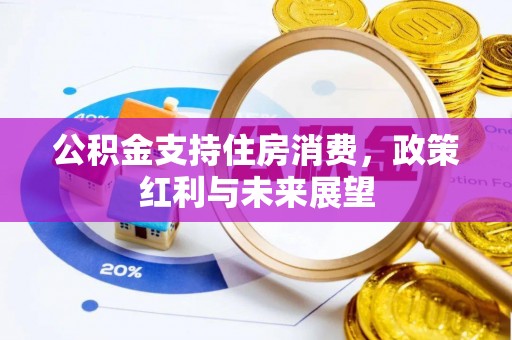 连南公积金支持住房消费，政策红利与未来展望