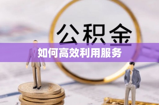 连南如何高效利用服务