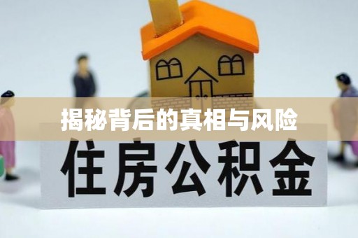 连南揭秘背后的真相与风险