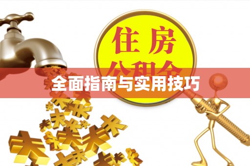 连南全面指南与实用技巧