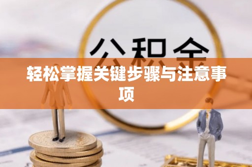 连南轻松掌握关键步骤与注意事项