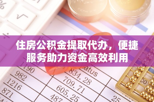 连南住房公积金提取代办，便捷服务助力资金高效利用