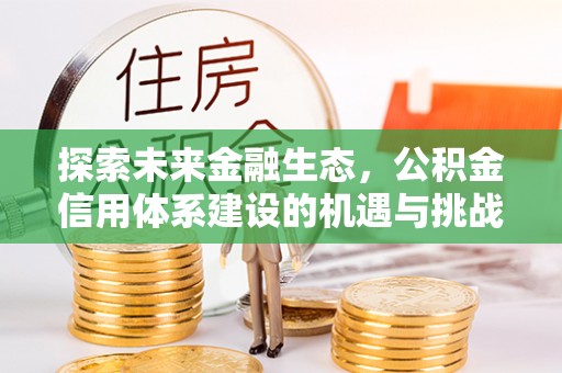 连南探索未来金融生态，公积金信用体系建设的机遇与挑战