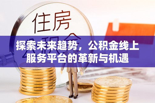 连南探索未来趋势，公积金线上服务平台的革新与机遇
