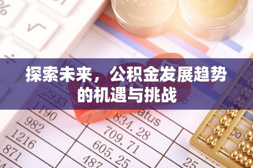 连南探索未来，公积金发展趋势的机遇与挑战