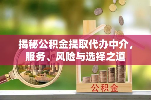 连南揭秘公积金提取代办中介，服务、风险与选择之道