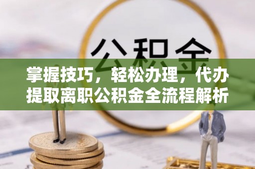 连南掌握技巧，轻松办理，代办提取离职公积金全流程解析