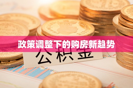 连南政策调整下的购房新趋势