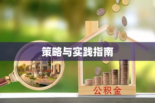 连南策略与实践指南