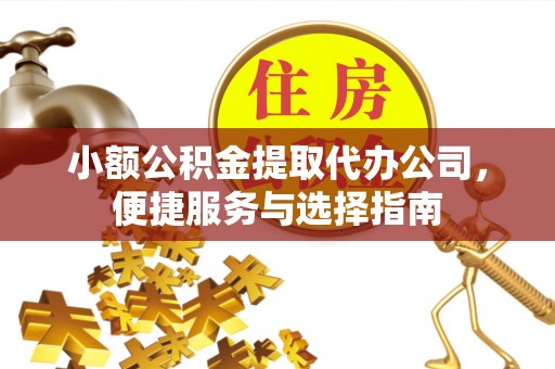 连南小额公积金提取代办公司，便捷服务与选择指南