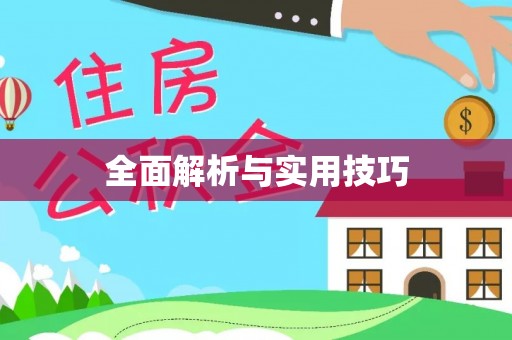 连南全面解析与实用技巧