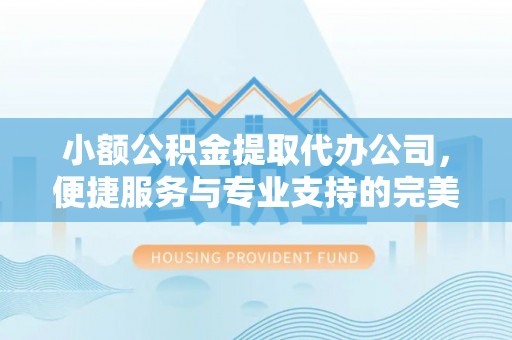 连南小额公积金提取代办公司，便捷服务与专业支持的完美结合