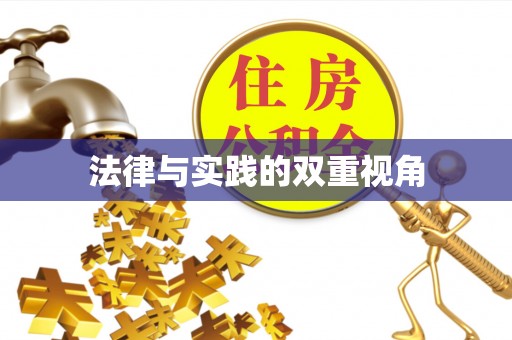 连南法律与实践的双重视角