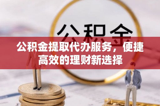 连南公积金提取代办服务，便捷高效的理财新选择