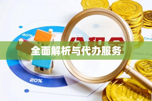 连南全面解析与代办服务