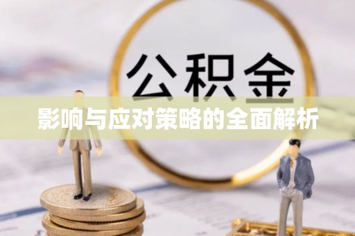 连南影响与应对策略的全面解析