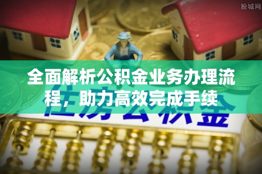 连南全面解析公积金业务办理流程，助力高效完成手续