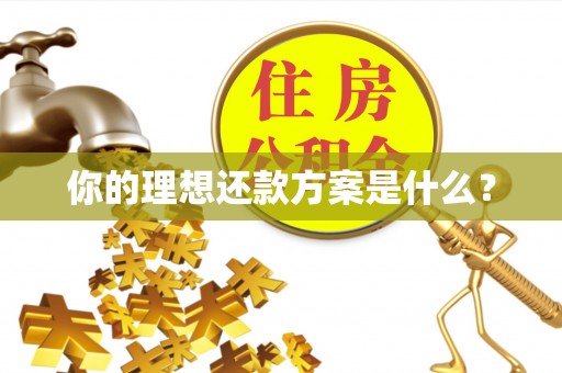 连南你的理想还款方案是什么？