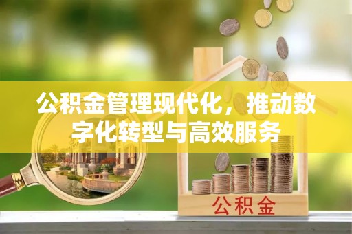 连南公积金管理现代化，推动数字化转型与高效服务