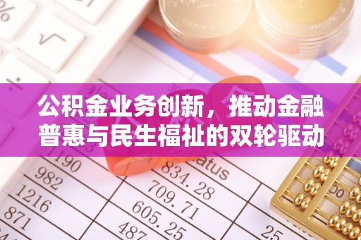 连南公积金业务创新，推动金融普惠与民生福祉的双轮驱动