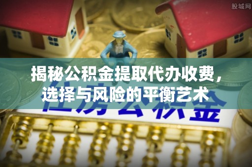 连南揭秘公积金提取代办收费，选择与风险的平衡艺术