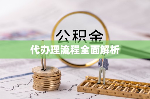 连南代办理流程全面解析