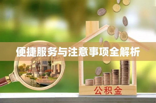 连南便捷服务与注意事项全解析