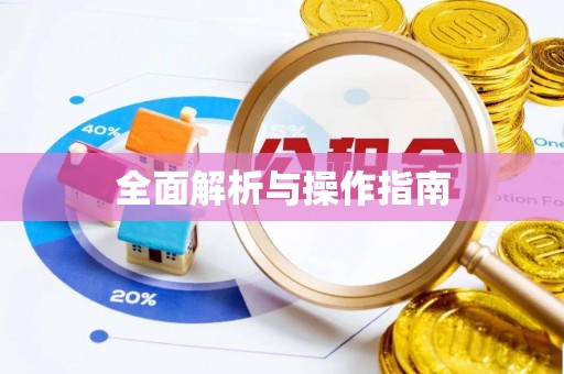 连南全面解析与操作指南