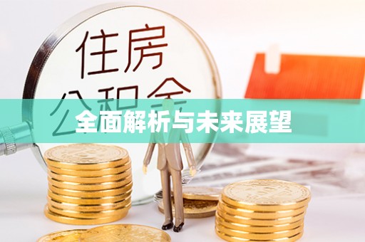连南全面解析与未来展望