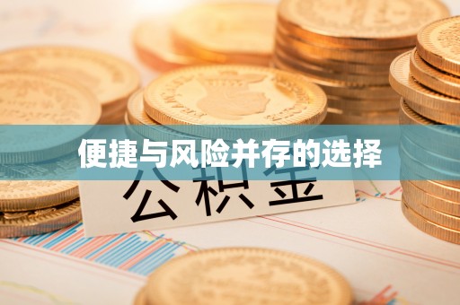 连南便捷与风险并存的选择