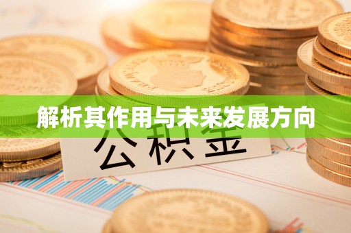 连南解析其作用与未来发展方向