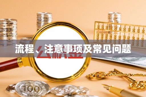 连南流程、注意事项及常见问题