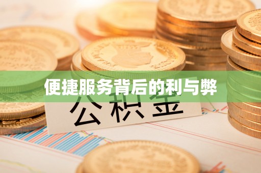 连南便捷服务背后的利与弊