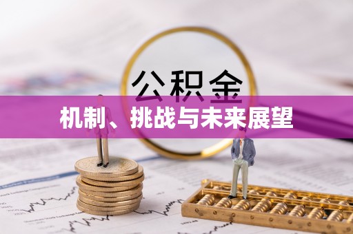 连南机制、挑战与未来展望