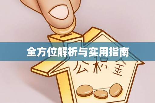 连南全方位解析与实用指南