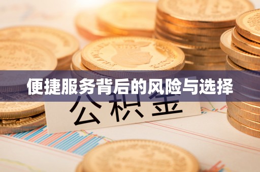 连南便捷服务背后的风险与选择