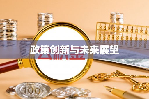 连南政策创新与未来展望