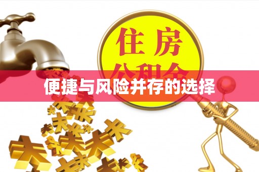 连南便捷与风险并存的选择