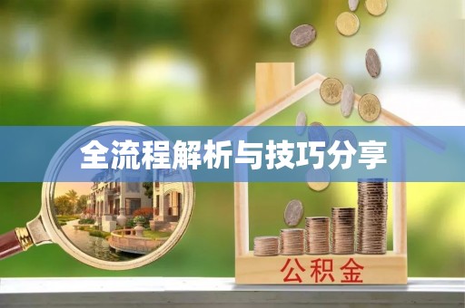 连南全流程解析与技巧分享