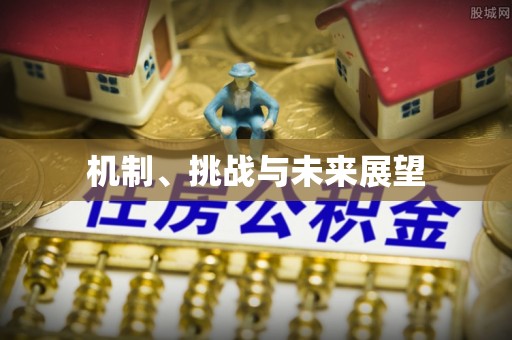 连南机制、挑战与未来展望