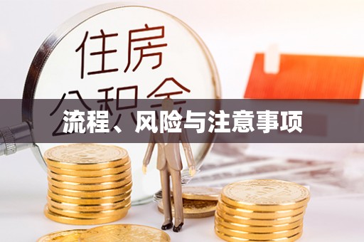 连南流程、风险与注意事项