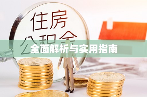 连南全面解析与实用指南