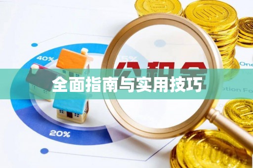 连南全面指南与实用技巧