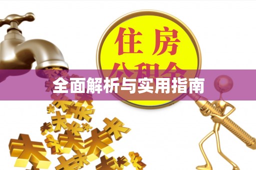 连南全面解析与实用指南
